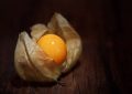 physalis