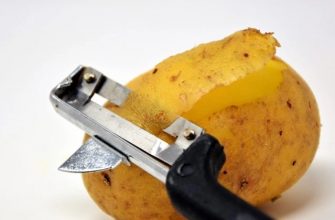 potato