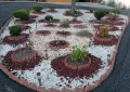 rock-garden