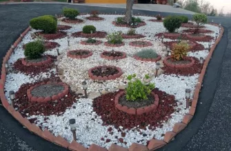 rock-garden