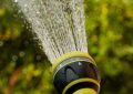 watering