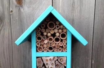 bee house