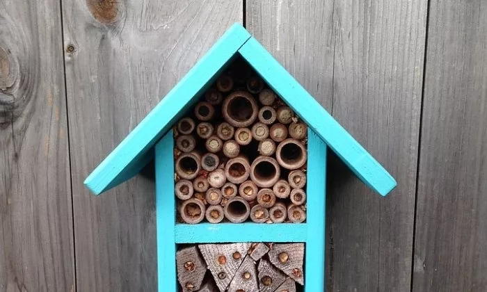 bee house