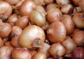 onions