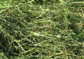 grass mulch