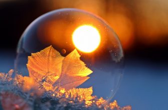 Bubble