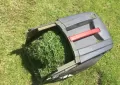 mulch