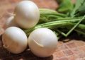 white radish