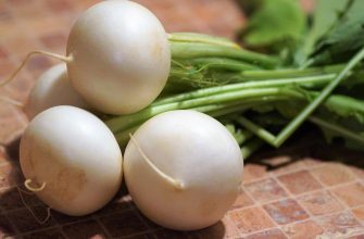 white radish