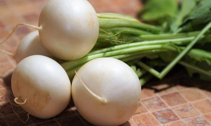 white radish