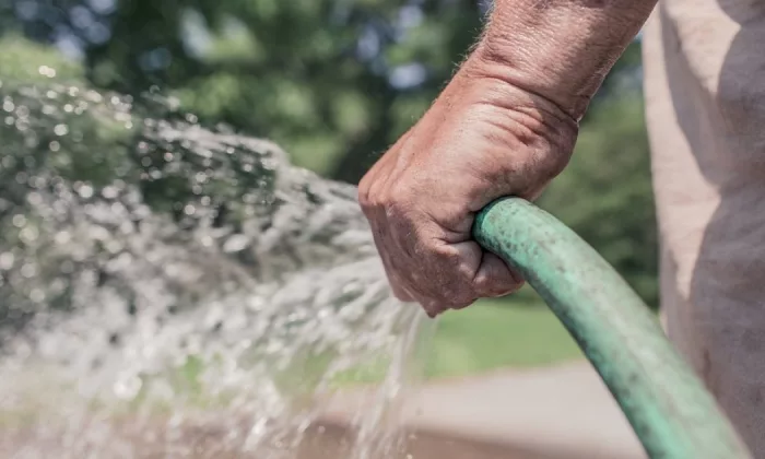 watering