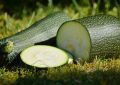 zucchini