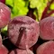 beetroot