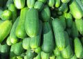cucumbers