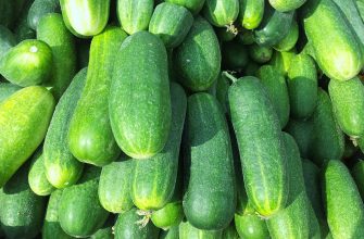 cucumbers