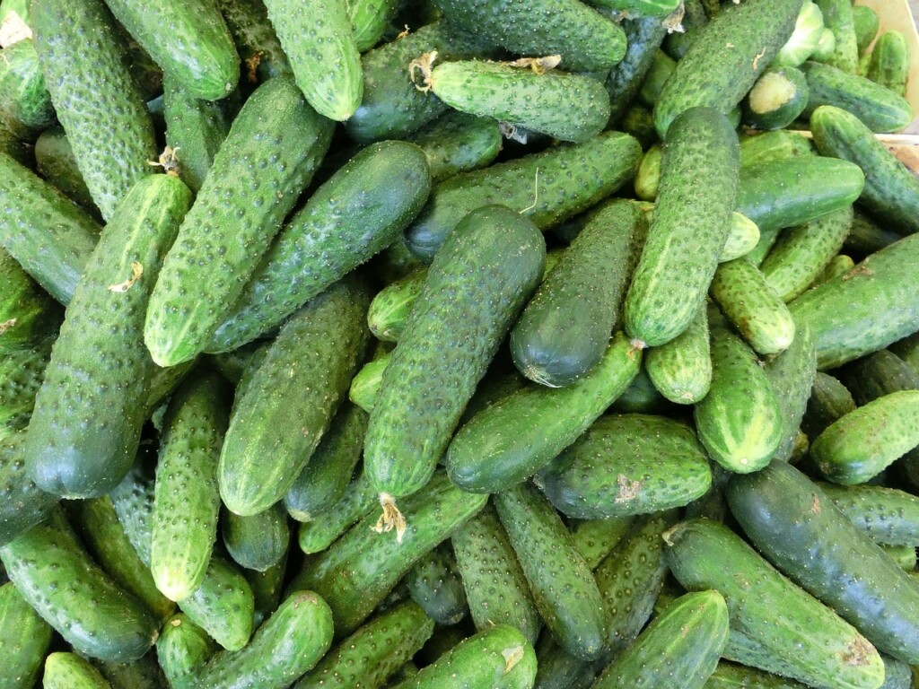 cucumbers