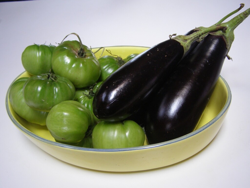 eggplants