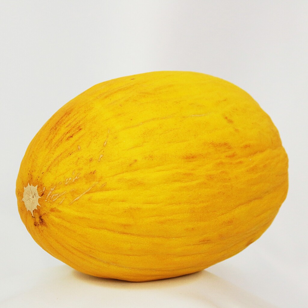 melon