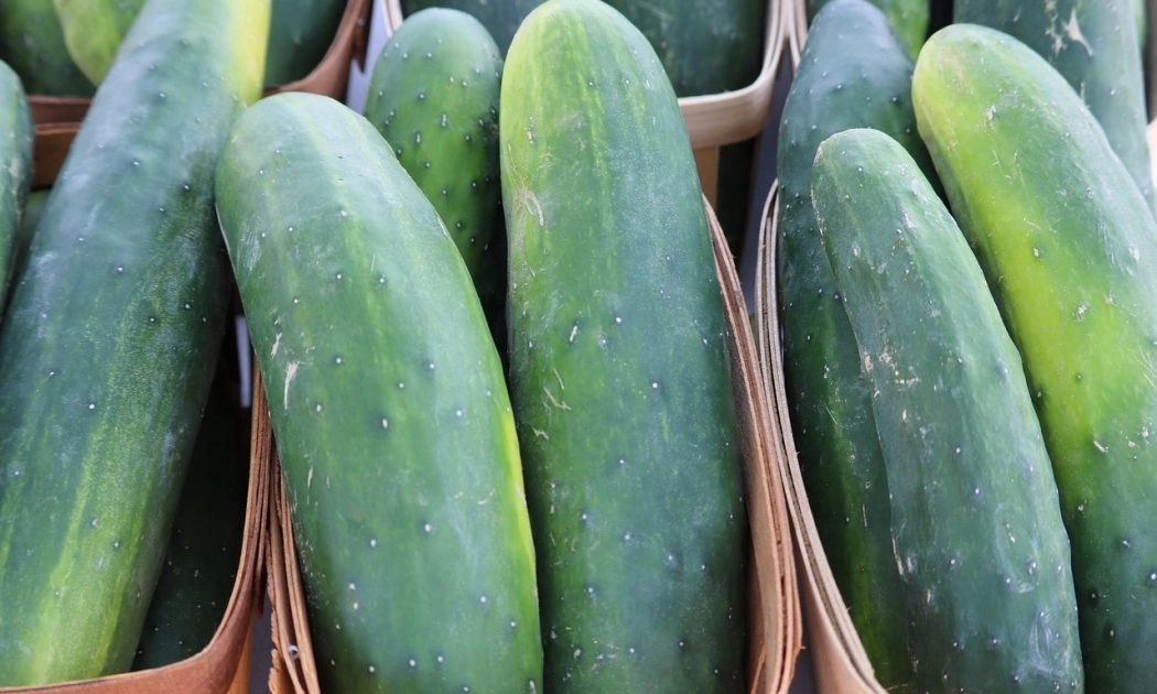 cucumbers