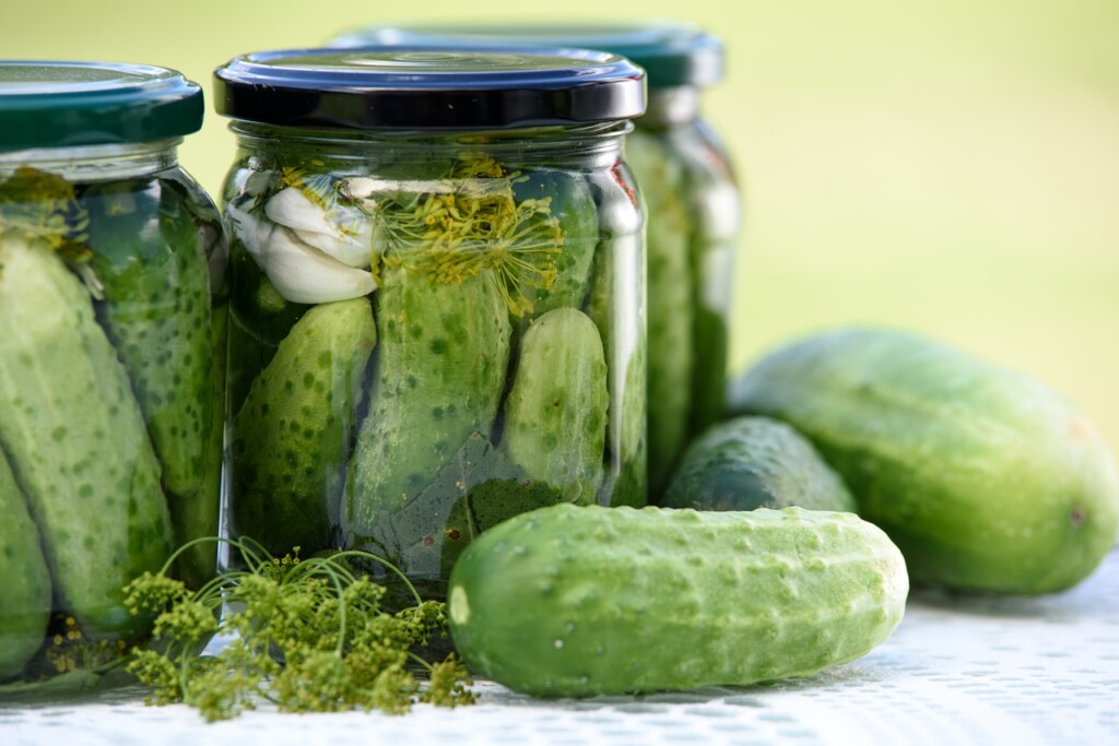 pickled-cucumbers