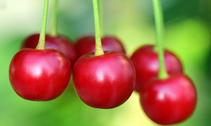 cherries