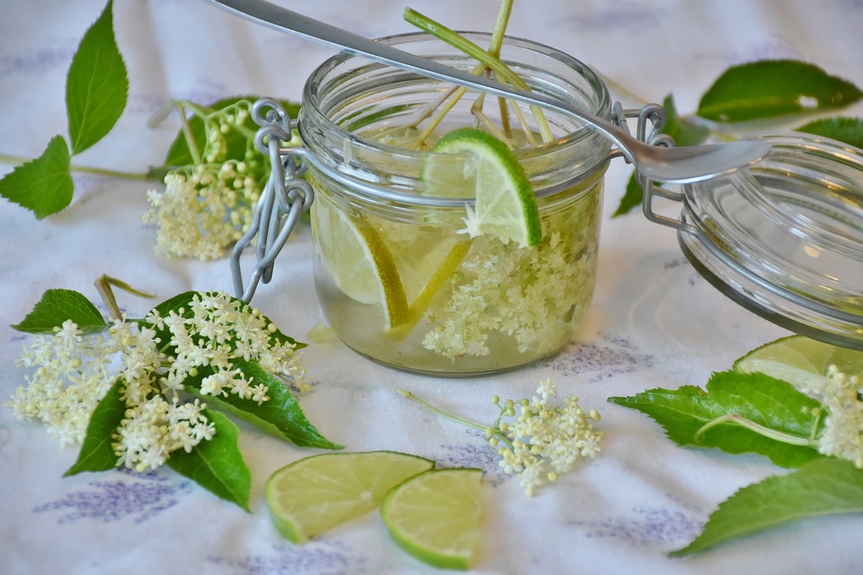 Elderberry