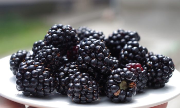 blackberries