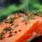 smoked salmon