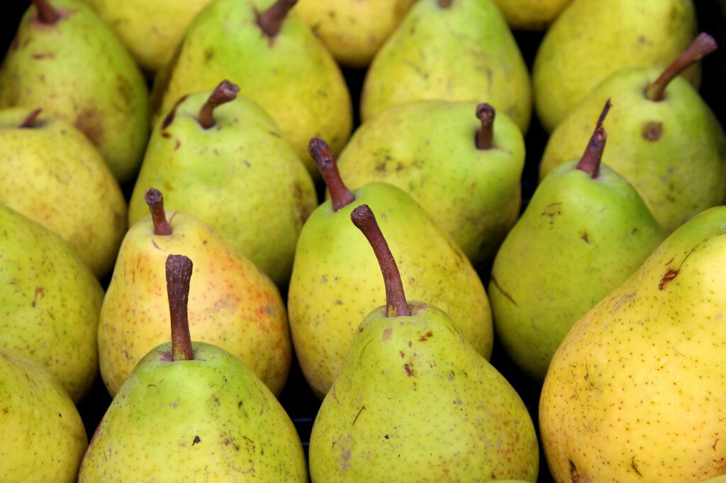 pears