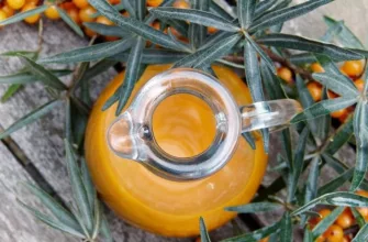 sea-buckthorn-juice