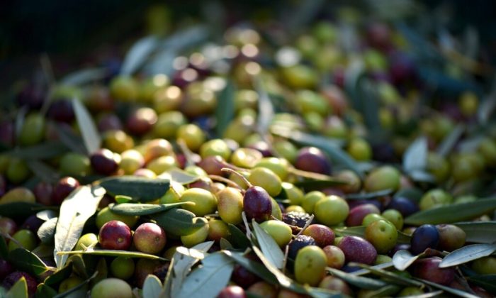 olives