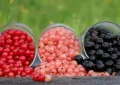 currants