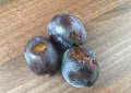 Plums