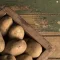 Potatoes