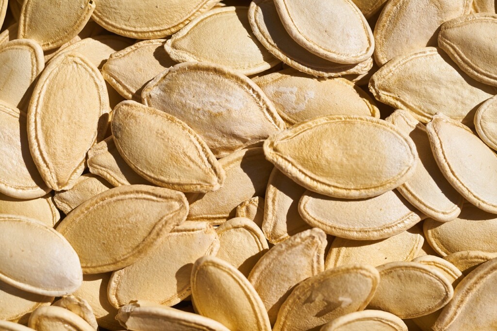 Pumpkin seed