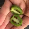 Mini kiwi