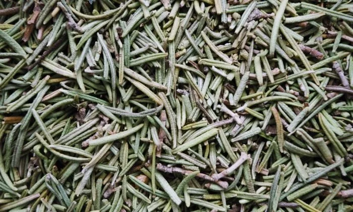 Rosemary