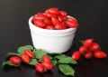 rosehip