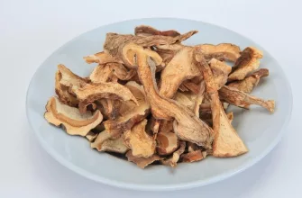 Dried Mushroom