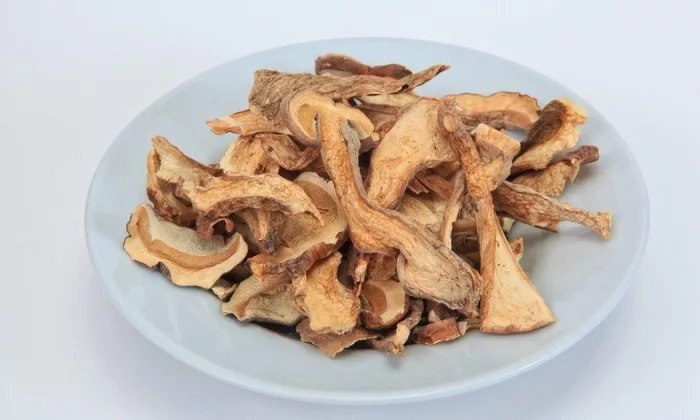 Dried Mushroom