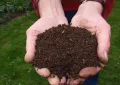 Compost