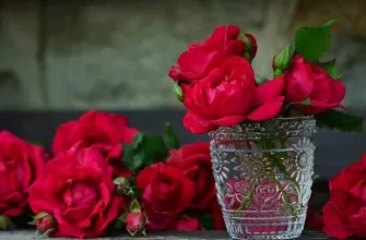 Roses