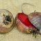 Beetroot