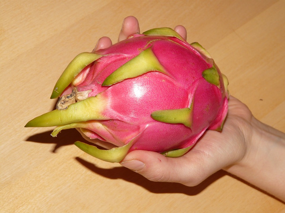 Pitahaya