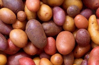 Potatoes