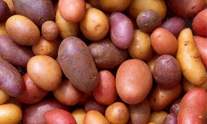 Potatoes