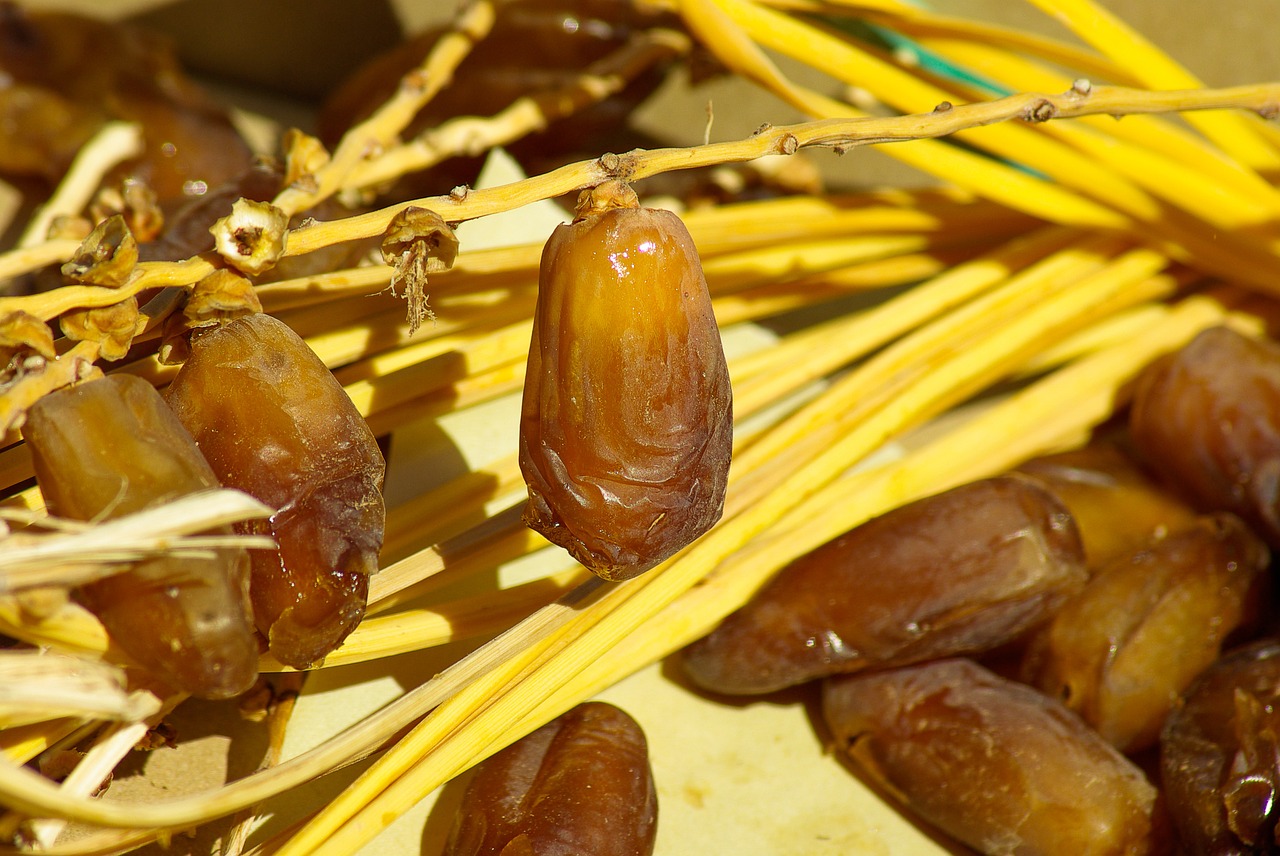 Date palm