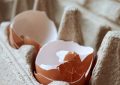 Eggshells