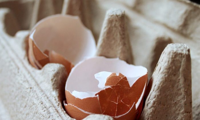 Eggshells