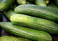 Cucumbers